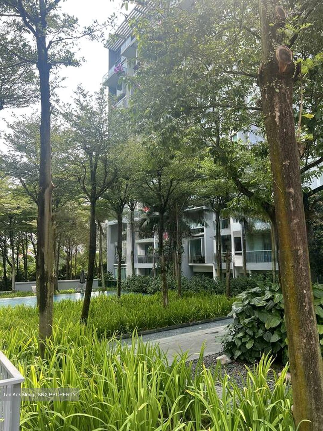 Botannia (D5), Condominium #485547951